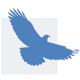 independNET flying bird logo